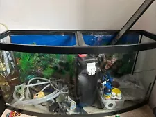 Fish tank for sale