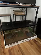 reptile terrarium kit