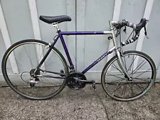 Small 5'4 rider: 49cm Georgena Terry Symmetry Road Bike SEATTLE WA Updated Sti