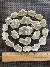 Dried Brain CORALS Fossil Beach Ocean Sea Reef Fish tank Aquarium decoration