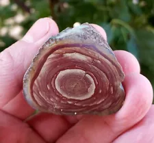 banded iron formation for sale