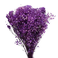 Dried Baby's Breath Flowers 17 Inch Purple Natural Baby's Breath Branches 2 Pcs