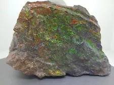 Ammolite Fossil 3.5lbs Beautiful Museum Quality Piece.