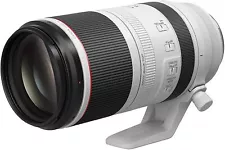 Canon RF 100-500mm f/4.5-7.1L IS USM Lens