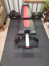 exercise equipment bench