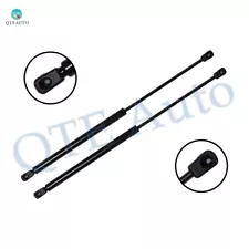 Pair of 2 Back Glass Lift Support For 1984-1986 Mercury Grand Marquis (For: 1984 Mercury Grand Marquis)