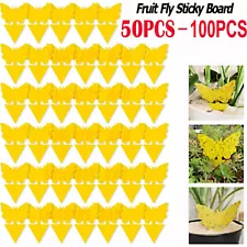 10-100Pcs Sticky Fruit Fly Traps, Fungus Gnat Killer Trap use Indoor Outdoor