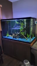 150 gallon aquarium