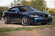 2004 Ford Mustang SVT