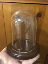 Glass Display Dome With Wood Base