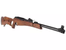 25 caliber air rifle for sale