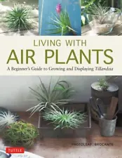Living with Air Plants: A Beginner's Guide to Growing and Displaying Tillandsia