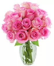 Bouquet of 18 Fresh Pink Roses (Farm-Fresh, Long-Stem) with Vase