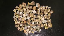 WHOLE AND ROUGH FLUORESCENT DUGWAY GEODES UTAH 5 POUNDS