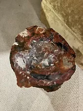 Large beautiful mirror polished 24" around Red Arizona petrified wood table 13"