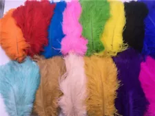 Wholesale 10-100 pcs natural ostrich feathers 6-16 inch/15-40cm 19 Colors