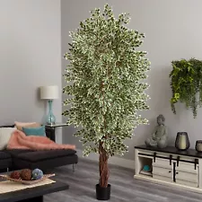 7.5’ Artificial Variegated Ficus Tree MultiVine With Natural Trunk. Retail $305