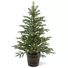 Norwegian Spruce 4-foot Entrance Tree with Clear Lights Green