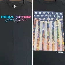 Lot of (2) Adult Small T-Shirts Hollister Los Angeles & Aeropostale NYC Flag Tee