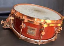 Vtg Sonor Hilite Exclusive Maple Shell Signed By Steve Smith Snare Drum-Journey