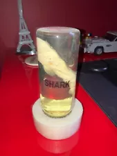 Real Shark in a Bottle Jar Specimen Taxidermy Table Sculpture