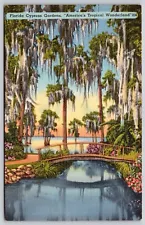 FL Cypress Gardens Tropical Landscape Spanish Moss Linen Cancel WOB Postcard