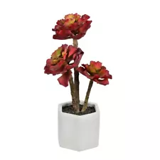 Vickerman FH191313 13 in. Red Potted Succulent