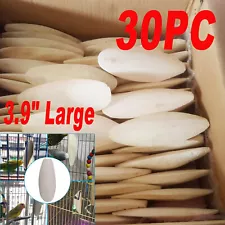 3.9" Large 30X Long Cuttlebone Cuttlefish Bone Sepia Fish Bird Chew Food Calcium