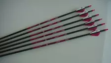 Archery Arrow Closeout! Half Dozen Bloodsport "HUNTER" 350 29 1/2" Vane Discolor