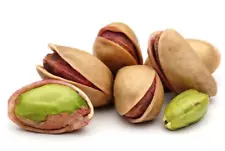 5 PISTACHIO Tree Seeds + Gift 30 seed pistacia atlantica to graft whith vera