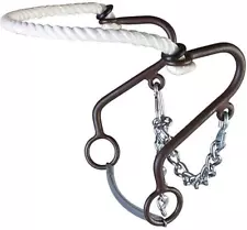 Westen at Rope Nose Little S Hackamore