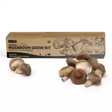 Organic Shiitake Mushroom Kit (START GROWING RIGHT AWAY)