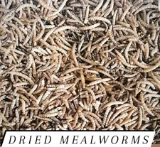 Mealworms Freeze Dried Bulk for Chickens and/or Fish Choose Size!!