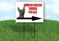 american hairless terrier for sale