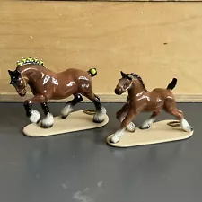 miniature clydesdale for sale