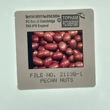Pecan Nuts Food Pattern Seeds USA Healthy S32515 SD13 35mm Slide