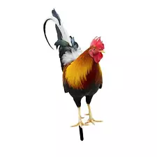 Rooster Statue Garden Stake Decorative Yard Art for Floor Farmhouse Backyard