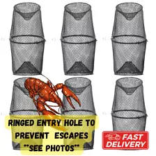 6 Pack Crawfish / Minnow Trap Collapsible for Crawdads Crayfish Bait Traps