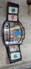 Championship Belt Wrestling MMA Boxing WWE TNA AEW