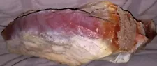 Petrified Rainbow Wood Opalized AZ 1 lb