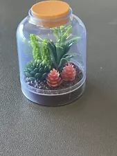 Mini Brands Create GARDEN ~ Terrarium