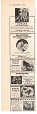 Dog Kennels Poodles Pekingese Pomeranian Kuvasz 1940 Vintage Print Ad Original