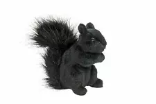 Douglas Hi-Wire 6" Black Squirrel Plush Stuffed Animal