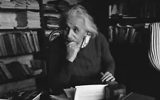 Albert Einstein German American Scientist Genius Picture Photo Print 8.5"x11"