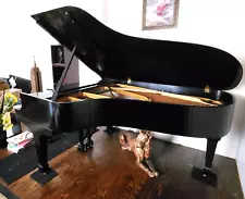 BEAUTIFUL STEINWAY GRAND PIANO, MODEL B, EBONY