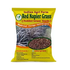 Red Napier Grass Seed - 100 g - High Yield Multicut Fodder Grass Seeds for Lives