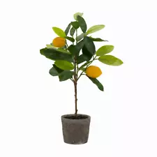 Potted Lemon Tree (Set of 2) 19.5"H Polyester