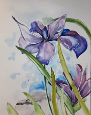 Water Iris