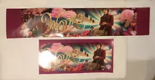 Wonka original 6x13 5x25 mylar movie posters Timothée Chalamet Willy Wonka 2023