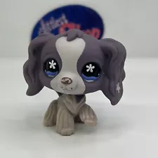 COCKER SPANIEL DOG #672 - Authentic Littlest Pet Shop - Hasbro LPS